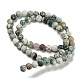 Natural Tree Agate Frosted Agate Round Gemstone Beads Strands G-O151-01-6mm-5