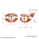 Aleación de estaño en forma de concha y pendientes redondos de perlas de imitación EJEW-BB16330-3