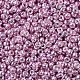 Perles rocailles miyuki rondes SEED-JP0008-RR1061-2