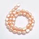 Natural Cultured Freshwater Pearl Beads Strands PEAR-K003-19A-2