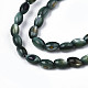 Eau douce naturelle de coquillage perles brins SHEL-N003-25-B01-3