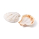 54 ensemble de perles de coquille Saint-Jacques teintes naturelles FIND-FS0001-19-3