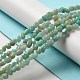 Natural Amazonite Beads Strands G-D081-A06-5