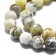 Natural Opal Beads Strands X-G-I356-A03-02-4