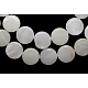 Natural Freshwater Shell Beads X-S00C20A2-1