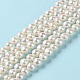 Natural Cultured Freshwater Pearl Beads Strands PEAR-E018-12-2