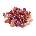 Natural Carnelian Beads, Undrilled/No Hole, Dyed, Chips, 5~19x4~10x2~7mm, about 100g/bag