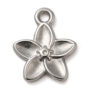 Подвески из нержавеющей стали 304 STAS-M070-05P