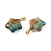 Подвески lampwork GLAA-T023-06I