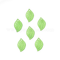 Прозрачные акриловые подвески TACR-T012-06