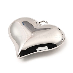 Pendentifs en acier inoxydable 304 anti-ternissement&nbsp;X-STAS-A089-01B-P