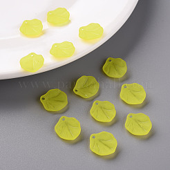 Прозрачные матовые акриловые подвески&nbsp;MACR-S371-02A-717