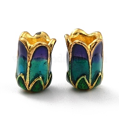 Сплав шарик крышки ENAM-G111-06G