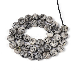 Natürliche weiße Jade perlen Stränge&nbsp;G-T143-16O