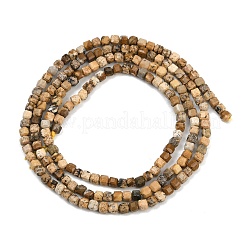 Естественного изображения яшмы бисер нитей G-P457-B01-52