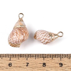 Colgantes de concha marina natural galvanizada&nbsp;SSHEL-T018-12
