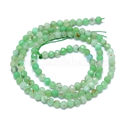 Brins naturels de perles de chrysoprase&nbsp;G-G106-C01-02