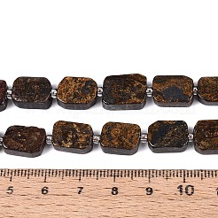 Природные бронзитом бисер нитей G-C098-A39-01