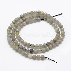 Chapelets de perles en labradorite naturelle &nbsp;G-P322-29-4mm