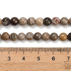 Natürlichen fossilen Korallenperlen Stränge&nbsp;G-C288-A01-6mm