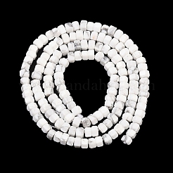 Природные Говлит бисер нитей&nbsp;G-G345-C01-2x4mm