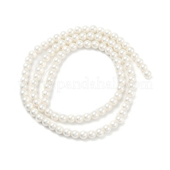 Круглые раковины жемчуг нити&nbsp;BSHE-XCP0001-40A