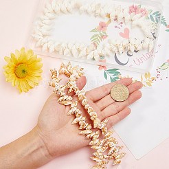 Нити из натуральных спиральных бусин-ракушек BSHE-SZ0001-05