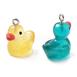 Подвески из смолы&nbsp;RESI-S001-01C