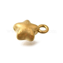 Подвески из нержавеющей стали 304&nbsp;STAS-D310-06G-05