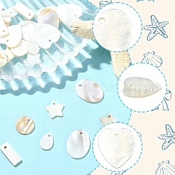 30шт 6 стиля подвески из натуральных пресноводных ракушек&nbsp;SHEL-YW0001-11