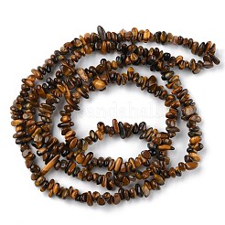 Природных тигровый глаз бисер нитей G-G0003-B22