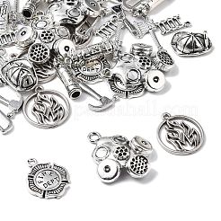 40шт 10 стиля подвески из сплава в тибетском стиле&nbsp;FIND-FP0001-23