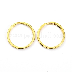 Железа отделились брелоки IFIN-Q067-G