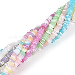 10 нить 10-х цветных натуральных бусин из ракушек трохид/трохус SSHEL-N040-21