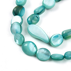 Нити бусин из натуральной белой ракушки&nbsp;SHEL-N036-21C