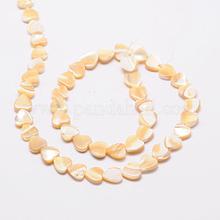 Fili di perle di cuore di conchiglia naturale&nbsp;X-SSHEL-M014-17
