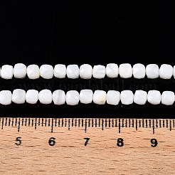 Нити бусин из натуральной белой ракушки SSHEL-N038-60