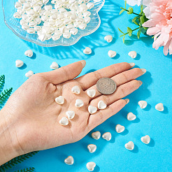 200шт бусины из искусственного жемчуга из АБС-пластика OACR-TA0003-84A