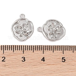 Подвески из латуни с прозрачным стеклом&nbsp;KK-N254-52P