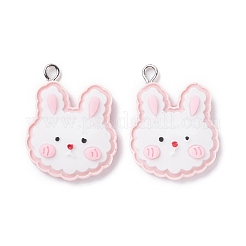 Подвески из непрозрачной смолы RESI-F030-20