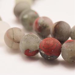 Naturali africane perline Bloodstone fili&nbsp;G-P295-05-10mm