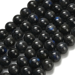 Натуральные черные лабрадоритные бусинки&nbsp;G-L642-B15-12mm