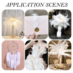 20 шт. 2 стиля аксессуаров для костюма из страусиных перьев&nbsp;FIND-TA0005-96