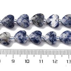 Натуральное синее пятно нитки из бисера яшмы G-P570-E19-01