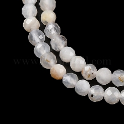 Bianco naturale perline pietra di luna fili&nbsp;G-G188-B09-01