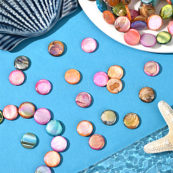 4 нить бусин из натуральных пресноводных ракушек&nbsp;SHEL-SC0001-81