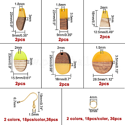 DIY baumeln Ohrring machen Kits&nbsp;RESI-OC0001-15