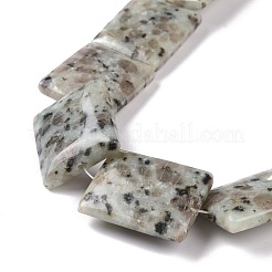 Jaspe de sésame naturel / perles de jaspe kiwi&nbsp;G-P469-04