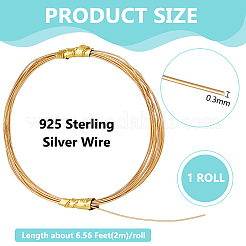 1 rouleau de 925 fils en argent sterling&nbsp;STER-BC0001-03A
