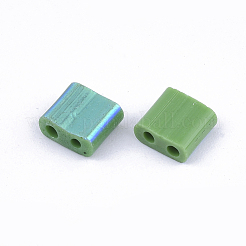 Perline di vetro 2 foro fgb&nbsp;X-SEED-S031-L-047-R